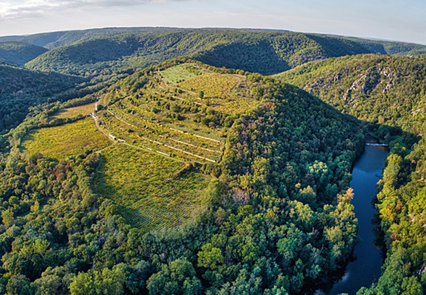 CHKO Pálava - Prastará vinica Šobes (Pyramída), Svätý kameň - Heiliger Stein (AT), energetické miesto (víkendovka)