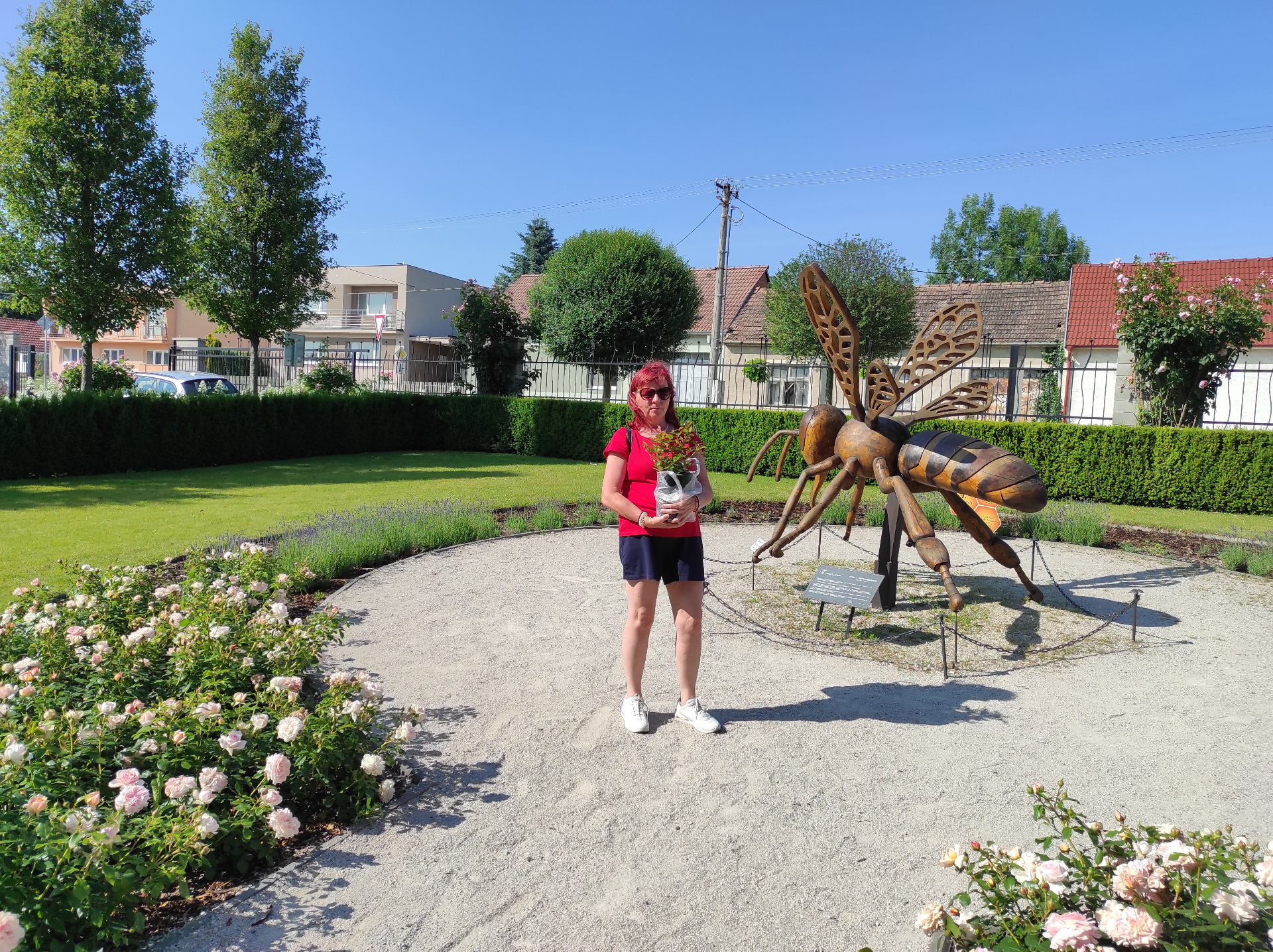 Medolandia Dolná Krupá