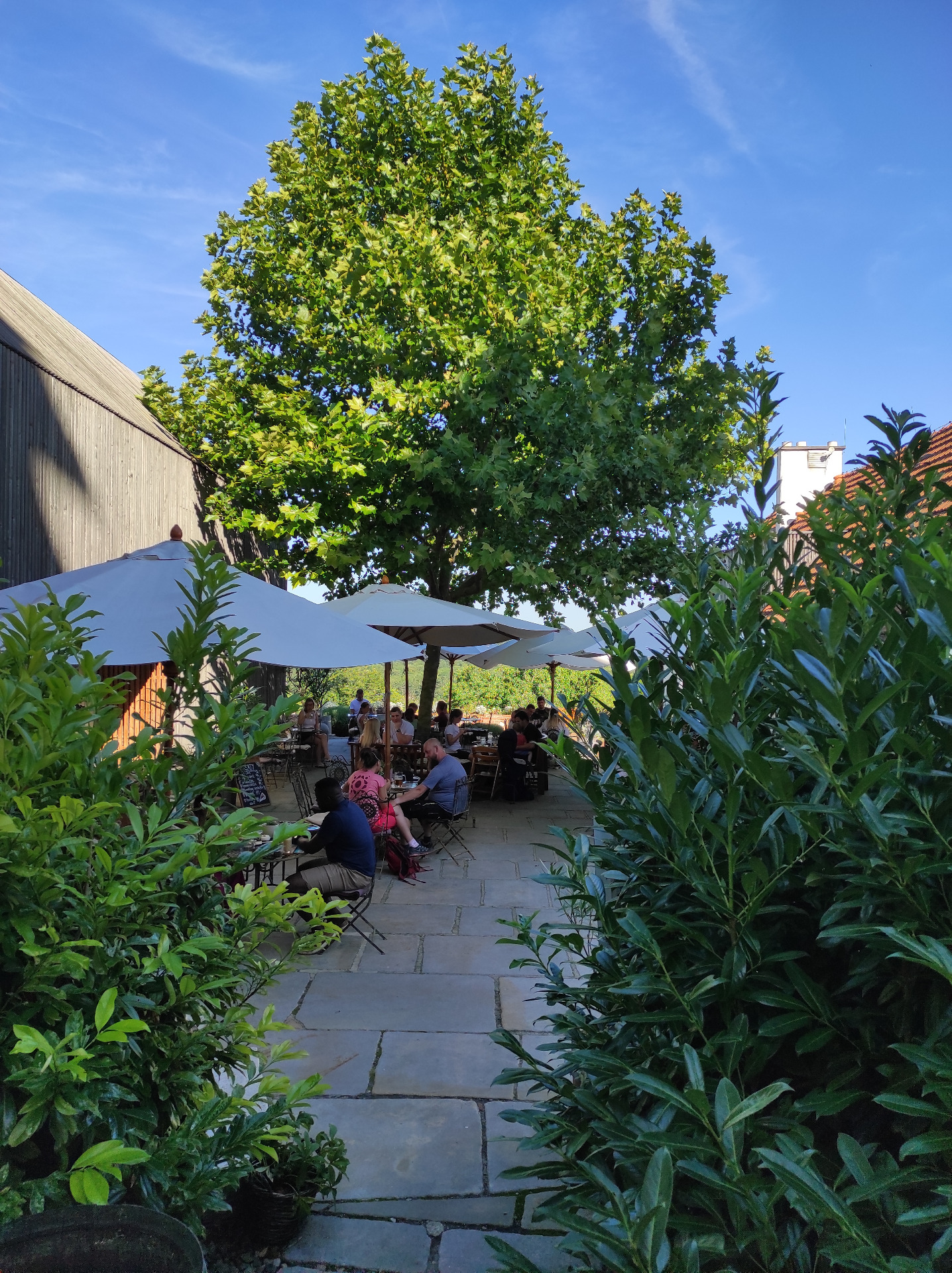 Lená terasa Café Ffara