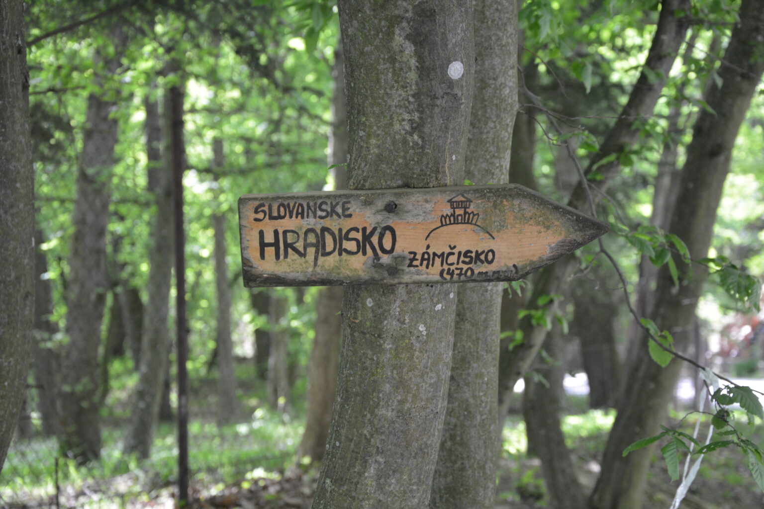 Modra - Zámčisko, býv velkomoravské hradisko